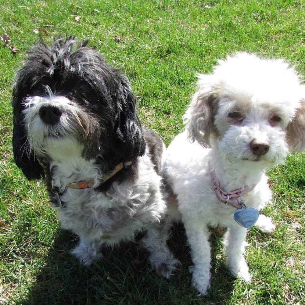 Meet your Posher, Jane